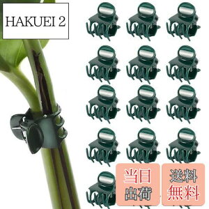 yzPAVIKE m ApNbv 50 AxNbv |Nbv ڂ؃Nbv xUNbv ϋv ͔| ėp\ K[fK[fc[ |֗Nbv |