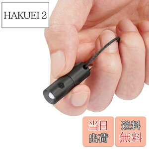 【送料無料】KeyUnity KF00BK ミニライト キーホルダー 小型懐中電灯 キーホルダーライト 超小型LED 防水 チタン合金製 超軽量 3個のボタン型電池対応 IPX8防水 実用点灯12時間 edc懐中電灯 10g (PVDブ