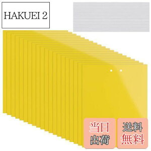 yzKALOLINNA  SV[g  QߊlS ʔS h S ȒPt Q ߒ h nG 쏜 ߊl K[fjO _ ͔| ƒ؉ CG[ (20×10cm,20)