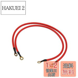 yzACROPIX J[obe[A[X dC` dP[u 45 cm bh 2{