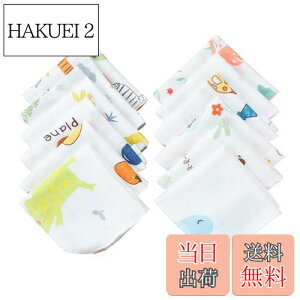 yz[HOOMCOOM] K[[nJ` xr[ 4w K[[^I Ԃ O ۈ牀p j̎q ̎q 100% _炩  20x20cm 12Zbg