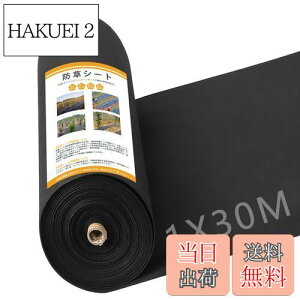 yzGreenGarden hV[g 1×30m 120g/ V[g sDz Œs50{ƍ50t   UVόܔz eܓ ϋv x ubN (ubN1*30m)