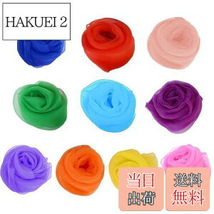 yzDFsucces VtH VNXJ[t 10F V XJ[t g~bN _X VY qǂ XJ[tV _X ^ WOO Ȃǂ 60*60cm (10)