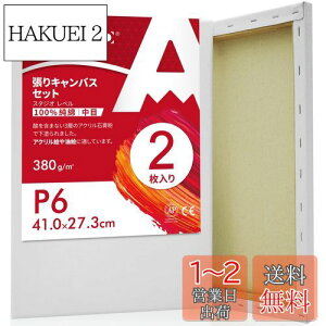 yzAUREUO LoX Zbg P6 (41cmX27.3cm)  100Rbg 2 S Gp |pGn G p ʉEGEANp
