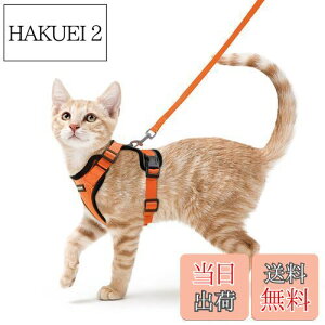 yzRabbitgoo L n[lX [h Zbg Ȃ Lpn[lX \tg y グ TCY߉ 锽 ʋCbV Pݖh~ U pn[lX L̓ 