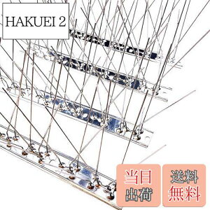 yzONESORA  悯 100%XeX o[hs ϋv y 1mz 悯 XpCN 悯 R LhS JX悯 ̃tQ΍  x_ J[|[g  Ԍ A