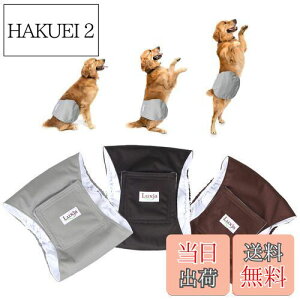 yzLuxja p}i[xg j̎q bV h Lk 3_Zbg }[LO R炵 IVbR΍ o  p(L,+O[+R[q[F)