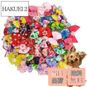 yzKingsie p{ wAoh 20_Zbg ybgp Jt  wAS wAANZT[  A\[g