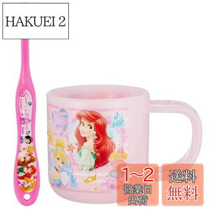 yzXP[^[ (skater) uVZbg uV Zbg X^ht Rbv 3-5ˉp vZX fBYj[ 180ml 14.5cm KTB5-A