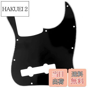 yzMusiclily Pro 10 vVWx[XPBsbNK[h5Fender Mexican Precision BasspA3P