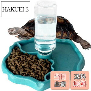 yzIKENOKOI঒ H  a  T/gJQ//Ȃ঒ސpiu[j