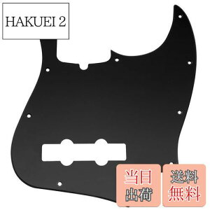 yzMusiclily Pro 10 WYx[XsbNK[h4American Jazz BasspA1P