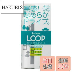 yzSurLuster(VAX^[) [v x[VbNPA ʎ GWICY RP Uጸ GWጸ V oN IC  RP LP-48