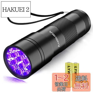 yzVansky 12LED O ubNCg UVCg O Cg WpdCg ڂɂ͌Ȃɑ΍ (ubN)