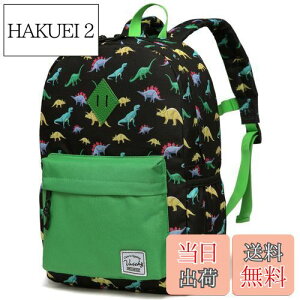 yz[Vaschy] bN LbY, bNTbN q ʊw obO ct ۈ牀 ʉ w j̎q w 킢 