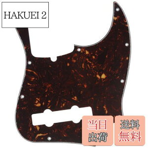 yzMusiclily Pro 10 vVWx[XPBsbNK[h5Fender American Precision BasspAꈍb4P