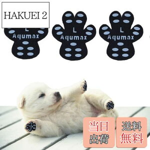 yzAqumax 48 ~ pbh   pbh  ybg CS͂ ~  ی h~ ׂ ~ tbg  p pbh-d؂̏犊藎̂hgNV