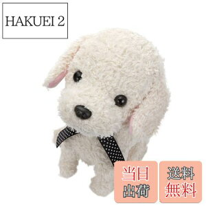 yzZKtFCu (SEGA FAVE) RR  N[