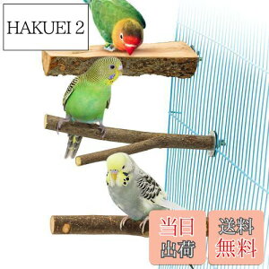 yz3_Zbg ~܂ ~܂ ܂𖁂񂲂̖ R ނ ܂ p[` CR IE  IE  ₷݃{[h Vѓ P[WANZT[ 