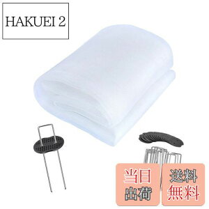 yzhlbg lbg |G` 3m×c10m Q̐Nh |؍͔|lbg hlbg ۉ h ʂ ƒ؉   |  zCg