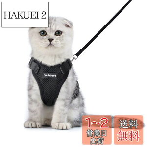 yzRabbitgoo L n[lX [h Zbg ^ Lp Ȃ ́[˂ \tg y グ TCY߉ lR U R 锽 ʋCbV Pݖh~ 