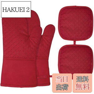 yzI[u~g Whonor ϔM~g 300xϔM ₯ǖh~  _ȖȐ+\ʃVR[bV ~ ꂪڗ dqW P[LĂ 痿 o[xL