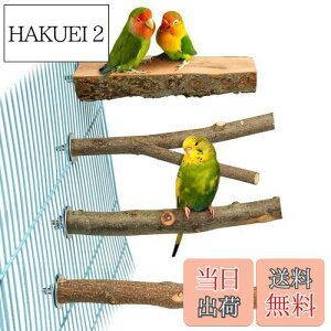 yz4_Zbg  ~܂ ~܂ ܂𖁂񂲂̖ R ނ ܂ p[` CR IE   ZLZCCR IJCR ₷݃{[h Vѓ 