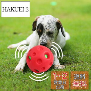 yzpet prime   {[ ^p ۂۂ퉹o dďvȉ̏o邨 傫ȉDȃ ȒP ^ a14cm