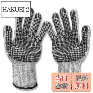 yz[Wlikn] hn R HPPEhn5 Ɨp O[u ϐؑn ϖ ~ | Lv p AEghAp I[V[YΉ