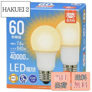 yzI[(OHM) d@ LEDd E26 60` 60bg` 60W` `Ή S dF 2 LDA8L-G AG6 2P 06-5520