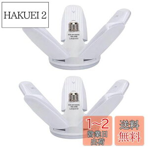 yzLaiqianle K[WCg 100w 2 LEDV[OCg y_gCg Ɠ 6 F 6500K VƖ tȒP Hsv px߉\ ȃGl Ԍ q [ HpCg 