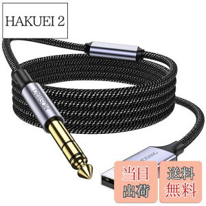 yzMOSWAGi^@\t) USB-6.35mmI[fBIP[uAUSBM^[P[uAUSB 6.35mmIXTRSXeIP[uA}CNAM^[Ax[XAXs[J[AVDv[[A~LT[AA