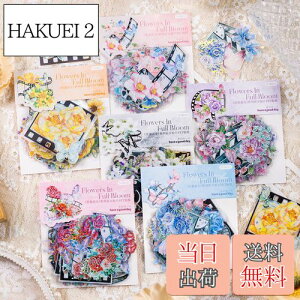 yzAlideco120 V[ t[NV[ R[W f y[p[ fގ [X[gsAXebJ[g ԁAAA ؍̏̎q COV[ Cpm[gfށAL