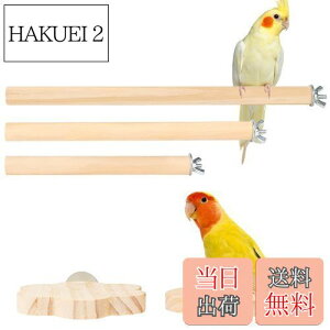 yzIRRVIN 5Zbg p~܂ CR Ƃ܂ X^h CR  p[` CR܂𖁂 ނ xݏꏊ XgX Vѓ P[WX^h tȒP