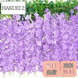 yzLakymisy ̉ 2{  K[h  ӂ̂͂ 10}/{  VN t̏ 뉀 ԗ ̓ ʐ^Be Ǌ| ԏ Xܑp  p[eB[