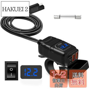 yzoCNUSBd oCNp USB h }[d y2USB|[go dXCb` dvzSAE j[Y dی DC12V-24V oCN ^oCN Ԃ offeree X}z ^ubg irΉ d
