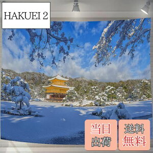 �y���������zU-SITU �^�y�X�g���[ �Ǌ|�� �Ǐ��� ���t�� ���s �� ���R�i�F �I�V���� �w�i ���@�\ �z�|�X�^�[ �C���e���A ���͋C�]���i�T�C�Y�F����75cm x ��100cm�j�J���[�FGT0196SA