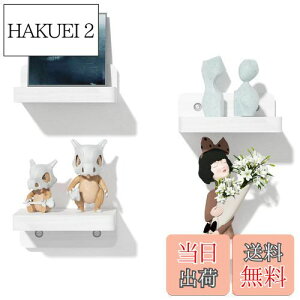 yzSRIWATANA Ǌ|bN EH[VFt  I (zCg)