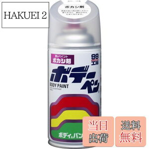 yz\tg99(SOFT99) 99H[ CyCg {f[y {JV 300ml ԃ{fBAop[AA؍ 08004