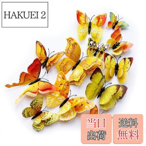 yzULIN  3D  EH[XebJ[ ǎV[  ʃe[v V[ rO ① CeA ǃV[  킢 EH[y[p[ |X^[ CG[