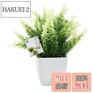 yzTOSSOW lHϗtA  tFCNO[ tFCNϗtA l CeA v[g Ηt