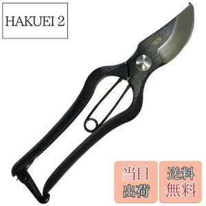 yzߗ^(KONYO) { ł  炩Ȑ؂ƊmȐ؂ꖡ ̂Â̊XuVOsv̏ɂ`Zp 20.5cm