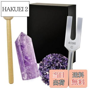 yzNX^`[i[ 4096Hz  VR 򉻗p 5_Zbg bNX {t AWXg WH26 - Purple