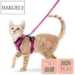 yzRabbitgoo L n[lX [h Zbg Ȃ Lpn[lX \tgy Lp ^ ^ U ЊQ ́[˂ [ グ TCY߉ 锽 ʋC