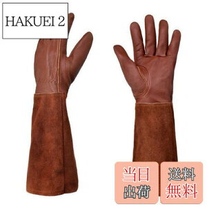 yzTARATI K[fO[u O K[fjO  fB[X Y  Ɨp ϔM ϖ |p  Orی A͎ gQh~ T{e [Y o Orی