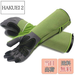 yzTARATI K[fjO K[fO[u vtFbVi T{e [Y o̎  KÑgQ [YO[u ϖ O Ǝ |p 