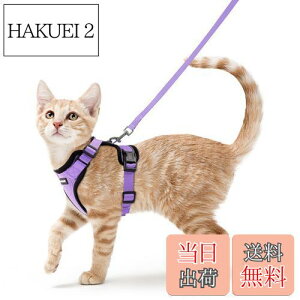 yzRabbitgoo L n[lX [h Zbg Ȃ \tg y ^ ^ L U p n[lX  グ TCY߉ 锽 ʋCbV Pݖh~ 