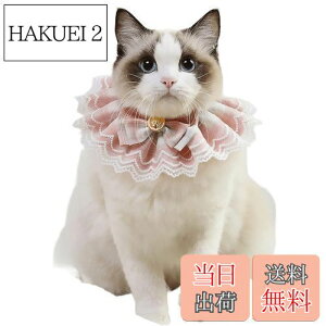 yzTengcong L̎ lR  悾ꂩ     ߉\ y ybgp lN^C 킢 y ^  Lp ybgpi (S, sN)