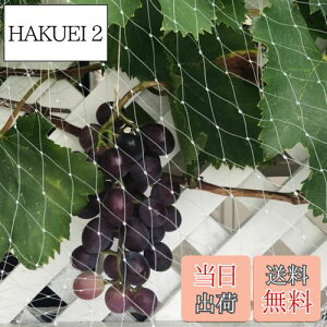 yz悯lbg x_ hlbg FŎEՂȂ ^Ȓ̐Nh~ JX  Q΍ h u[x[؍͔|ʎȂǂ̎蔵lb