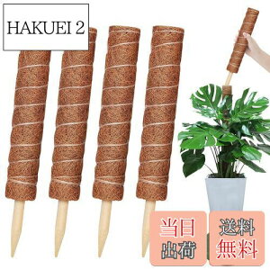 yzYOUSHY440cm|x ϗtAXe x wSx鐫A ϗtA RRXeBbNx AT|[gt[X^h RRibcx Ԏx K[fjOx _